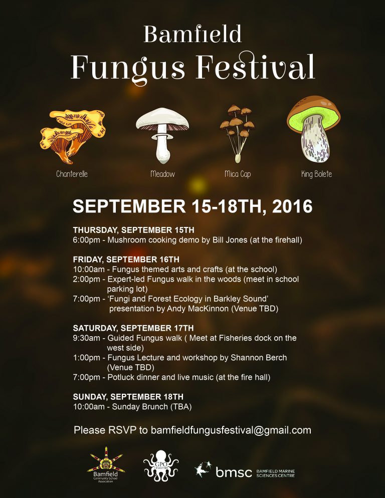 Fungus Festival-01